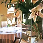 Park & Restauracja Bed & Breakfast