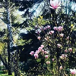 Bed & Breakfast Park & Restauracja 4*