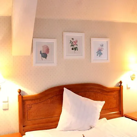 Frühstückspension Park & Restauracja 4*