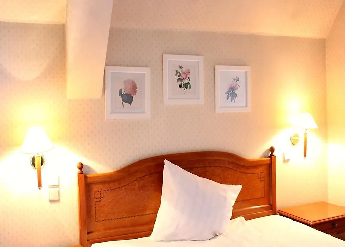 住宿加早餐酒店 Park & Restauracja 4*