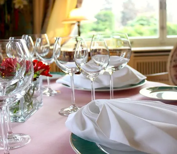 住宿加早餐酒店 Park & Restauracja