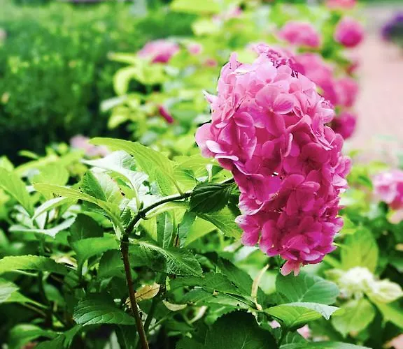 Park & Restauracja ベッド・アンド・ブレックファスト 4*