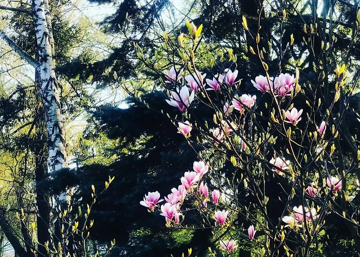 ベッド・アンド・ブレックファスト Park & Restauracja 4*